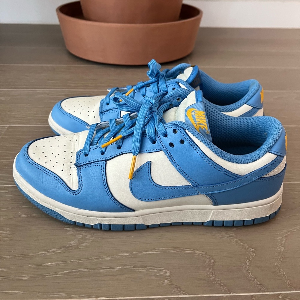 Nike Dunks (Low) in Coast